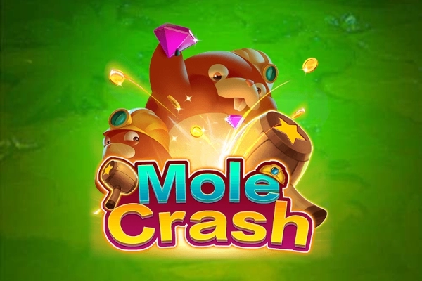 11381 mole crash