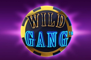 14373 wild gang