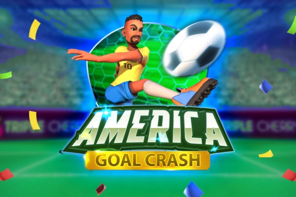 24316 america goal crash