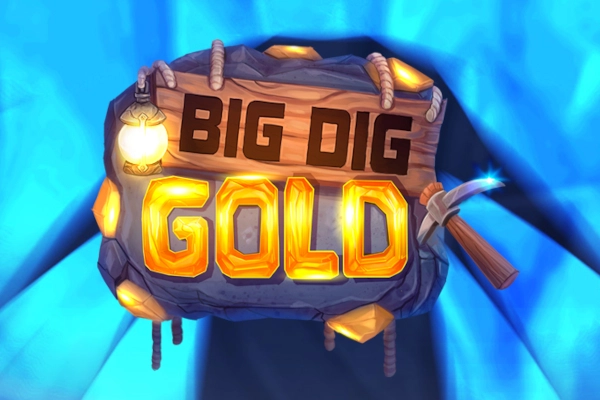 24319 big dig gold